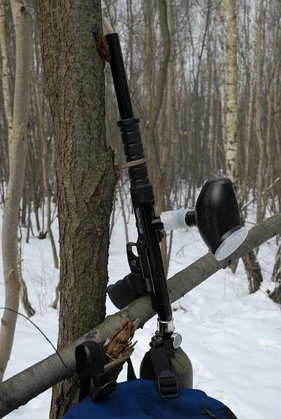 A08_8729 [800x600].JPG